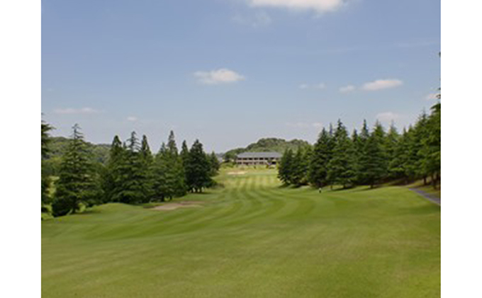 ゴルフ場 千葉 千葉新日本ゴルフクラブ平日ゴルフセルフプレー券 1名 ゴルフ 関東 チケット ゴルフ場利用券 プレー券 施設利用券