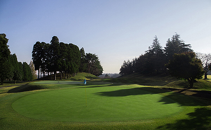 ゴルフ場 千葉 ザ ナショナルカントリー倶楽部千葉 （ 旧 千葉廣済堂カントリー倶楽部 ） 平日ゴルフ場プレー券 1枚 ゴルフ 関東 チケット ゴルフ場利用券 プレー券 施設利用券