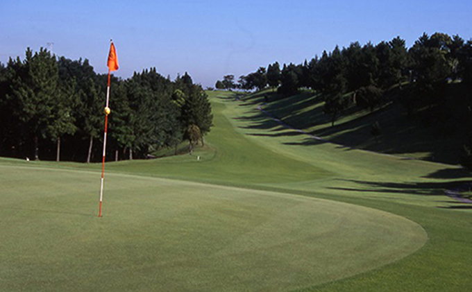 ゴルフ場 千葉 千葉セントラルゴルフクラブ 4名様 平日プレー招待券 ゴルフ 関東 チケット ゴルフ場利用券 プレー券 施設利用券