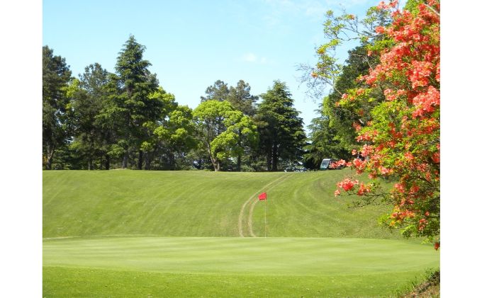 ゴルフ場 千葉 ちばパブ CPGカントリークラブ セルフプレー昼食付ご招待券 平日 1名様 1枚 ゴルフ 関東 チケット ゴルフ場利用券 プレー券 施設利用券