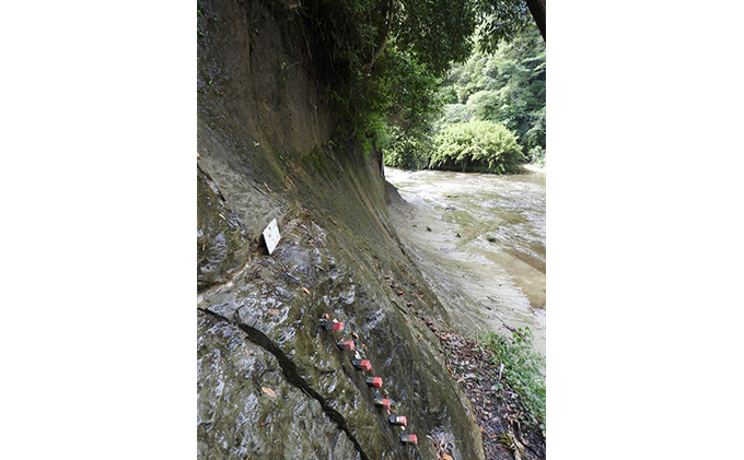 【お礼の品なし 施設に芳名掲出】 チバニアン見学環境の整備に寄附を