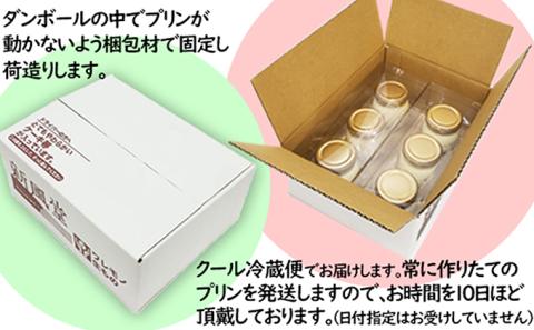 房総贅沢プリン キヌノワ プリン 6個 セット