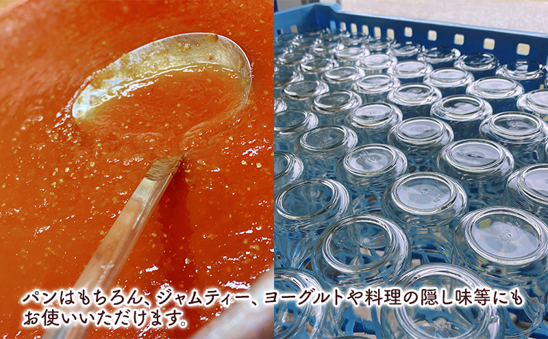 ジャム 季節のジャム2本セット 手作り フルーツ くだもの セット 千葉県 いちじく みかん 梨 プラム ブルーベリー パン ヨーグルト