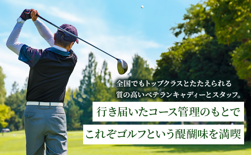 ゴルフ場 千葉 姉ヶ崎カントリー倶楽部 セルフプレー 平日のみ 1名様 ゴルフ 関東 チケット ゴルフ場利用券 プレー券 施設利用券