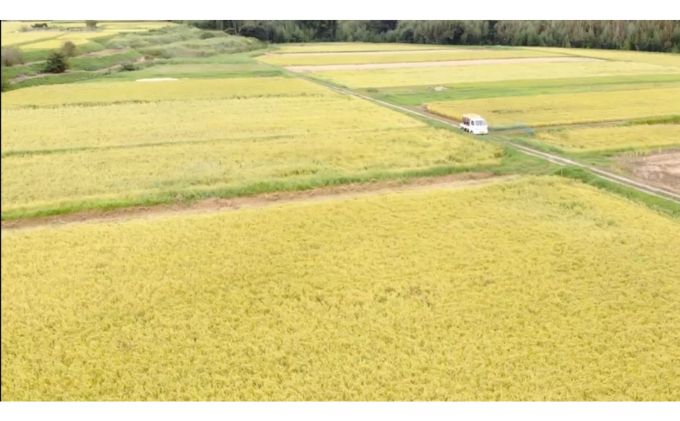 みなよし米【市原産コシヒカリ】10kg（5kg×2袋）