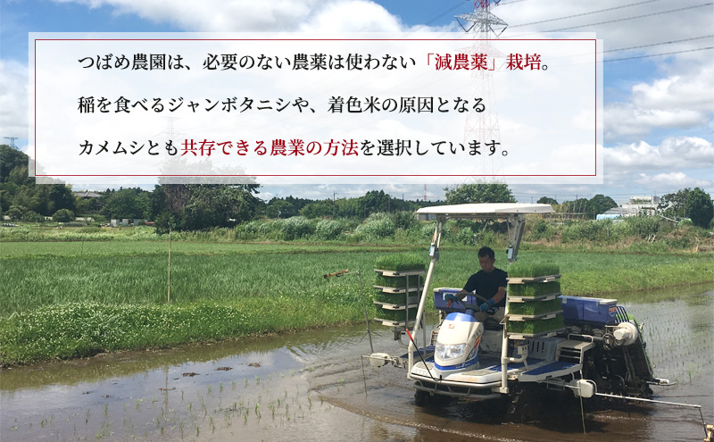 令和6年産　新米「気和味米」千葉県産コシヒカリ 10kg (5kg×2袋)　白米