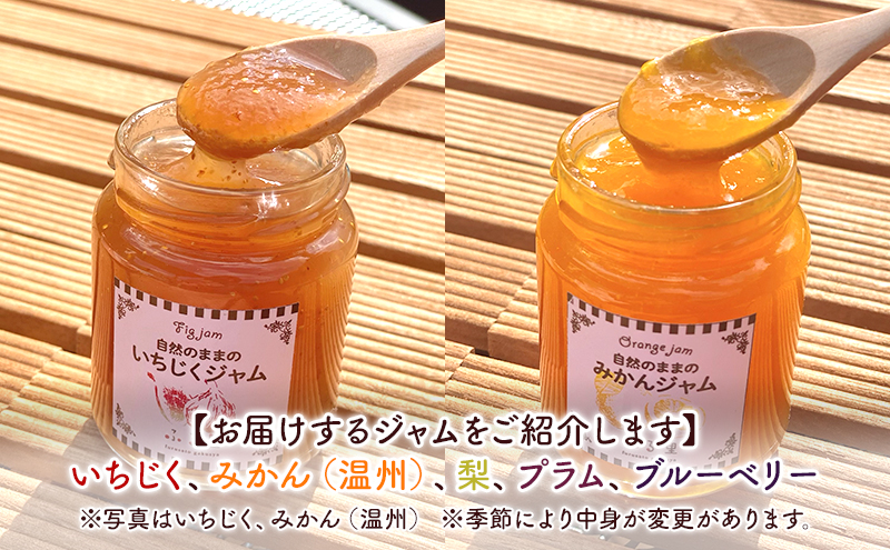 ジャム 季節のジャム2本セット 手作り フルーツ くだもの セット 千葉県 いちじく みかん 梨 プラム ブルーベリー パン ヨーグルト
