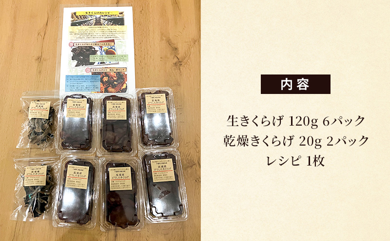 高滝湖どうしたきくらげ　生6パック　乾燥2パック　防空壕きくらげシステム導入