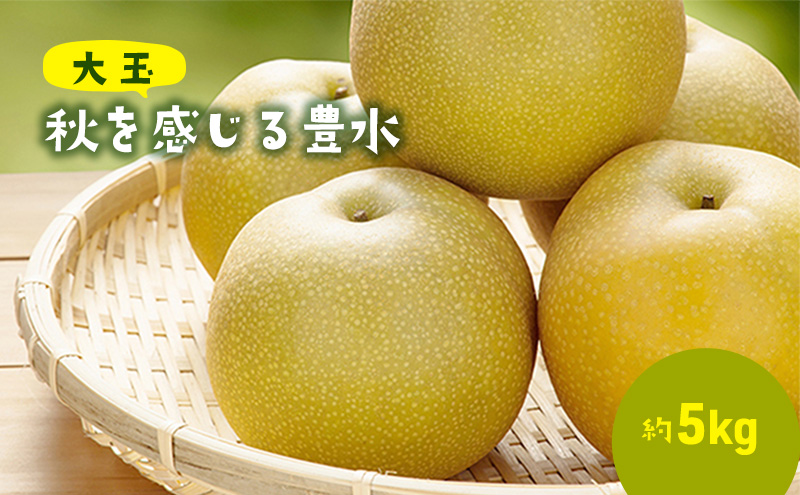 大玉！秋を感じる　豊水梨（5kg）