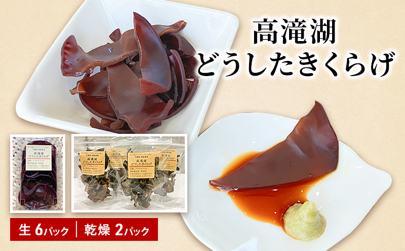 高滝湖どうしたきくらげ　生6パック　乾燥2パック　防空壕きくらげシステム導入