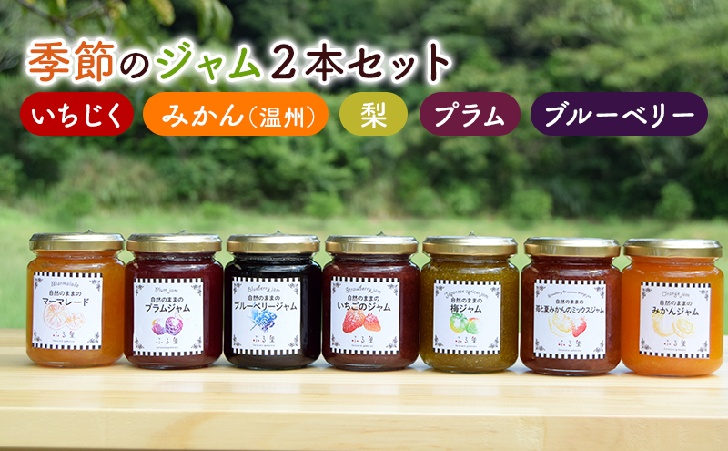 ジャム 季節のジャム2本セット 手作り フルーツ くだもの セット 千葉県 いちじく みかん 梨 プラム ブルーベリー パン ヨーグルト