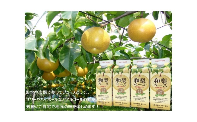 梨 千葉県産 和梨ベース 500ml 4本 セット 和梨 希釈 希釈用ドリンク 希釈ドリンク 果実飲料 ジュース ドリンク 飲み物 かき氷 シロップ フルーツ 果物 千葉 千葉県 市原 市原市