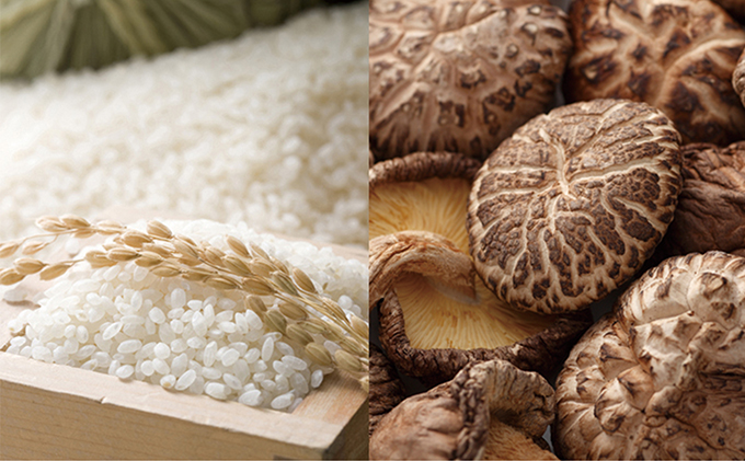 農匠泰山の音信米（おとずれまい）と乾椎茸のセット