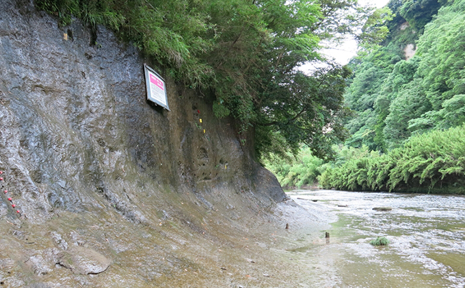 【お礼の品なし 施設に芳名掲出】 チバニアン見学環境の整備に寄附を