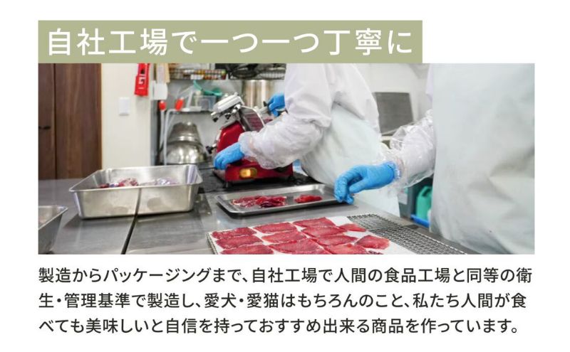愛犬愛猫用副食 馬ハツレバーせんべい 20g×5個 ペット ペット用おやつ ペットフード 愛犬 愛猫 わんちゃん ねこちゃん 犬 猫 馬ハツレバー 馬肉 ご褒美
