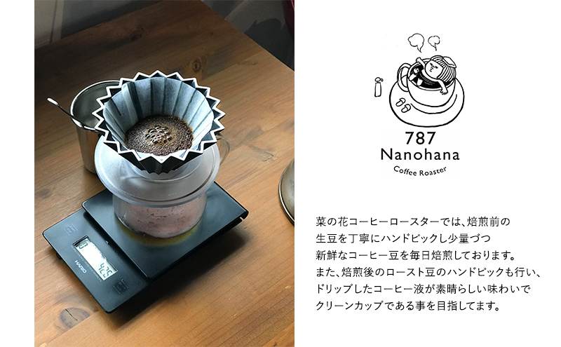 787 Nanohana Coffee Roaster 4種お任せセット 各50g(豆or粉) 浅煎り 中煎り 深煎り コーヒー 珈琲 おすすめ 人気【豆】