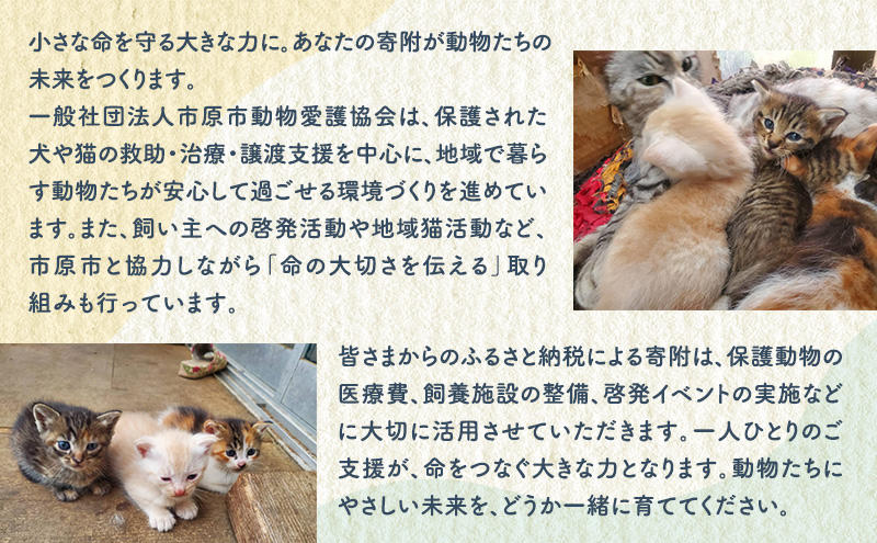 洋菓子 【第2クローバー学園】手作りにこだわったギフトA お菓子 焼き菓子 セット マドレーヌ クッキー マフィン ムラング フィナンシェ ジャム 市原市 千葉県