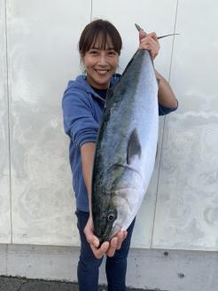 【日時指定必須】ブリ丸ごと一本！(さばき方が選べます) [0050-0049]