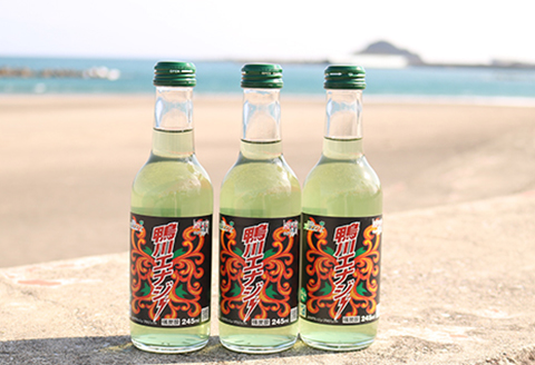 【鴨川のご当地ドリンク】鴨川エナジー 245ml × 24本 [0020-0081]