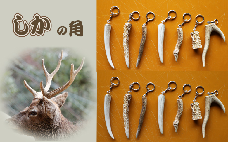 【房総ジビエクラフト】天然素材『ジビエ キーホルダー』　日本鹿の角　[0006-0044] 日本鹿の角