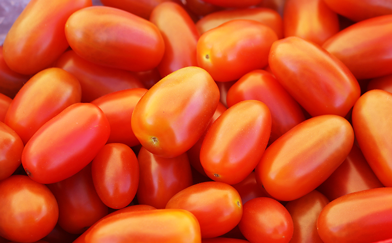 【弾ける食感！フルーツ級の甘み！】タイヨウのトマト『フラガール』１kg　《配送期間限定》《2週間以内に発送》 ミニトマト フルーツトマト [日本ソーラー発電] [0008-0048] ミニトマト１kg