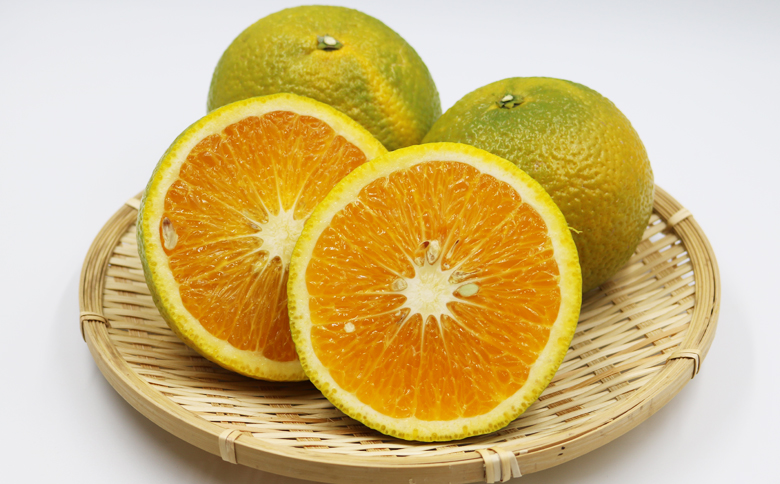 【先行予約・数量限定】刈込園芸『鴨川スイートスプリング』 ５kg（20～25個）　[0010-0210]