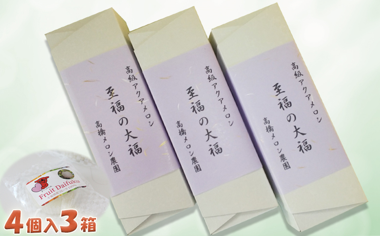 【高橋メロン農園】フルーツ大福～千葉アクアメロン～ 12個 [0010-0243]