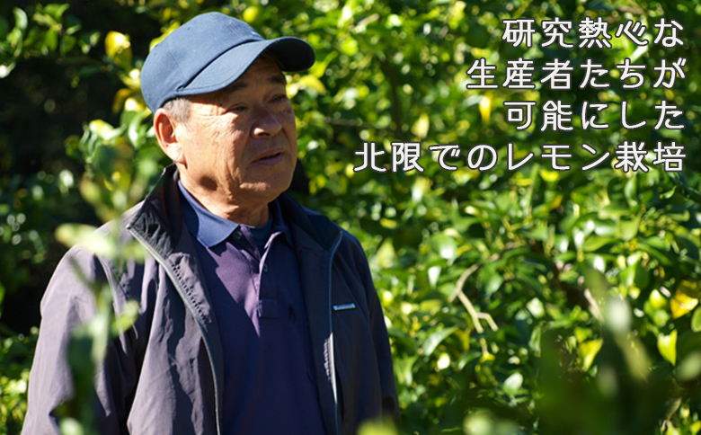 《１月発送》【皮まで食べられる】海と太陽のレモン【訳あり品-優品-】５kg（約40個）　[0011-0058] 訳あり品５kg《１月発送》