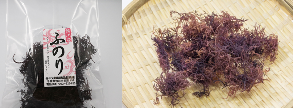 【久根崎善次郎商店】鴨川産海藻3種5点セット[0013-0042]