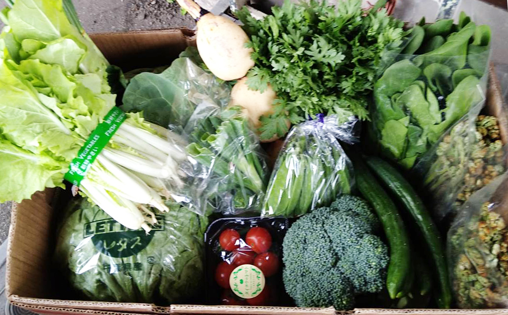 【1日限定5セット】南房総-鴨川の朝採れ野菜セット [0014-0027] １回発送