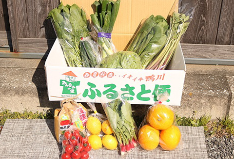 【鴨川直送ふるさと便】季節の野菜＆果物詰合せ [0015-0043]