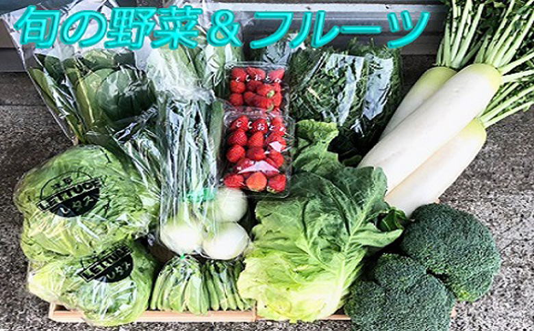 【山田青果店】旬の野菜＆フルーツ [0015-0057]