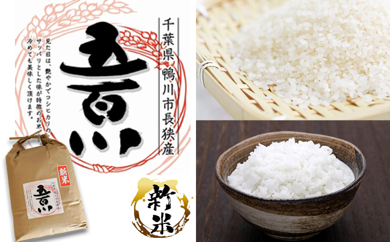 《令和７年産》【米屋新蔵】関東一の極早生米『五百川』５kg　[0016-0026] ５kg