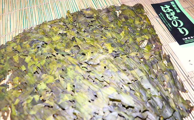 【さいぶのひじき】磯の香り豊かな高級食材！『鴨川産 天然 はばのり』５枚《数量限定》　[0020-0093]