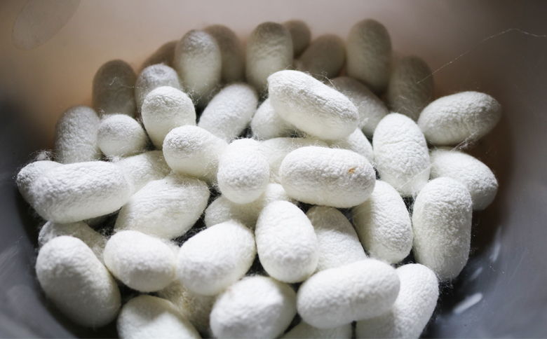 【繭灯り夢工房】シルクと押し花のランプシェード [0020-0099]