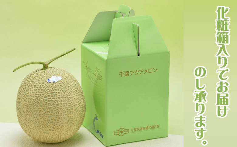 【ご贈答に！】高級マスクメロン『千葉アクアメロン』Ｌ玉以上 × ３個　[0033-0011] Ｌ玉３個