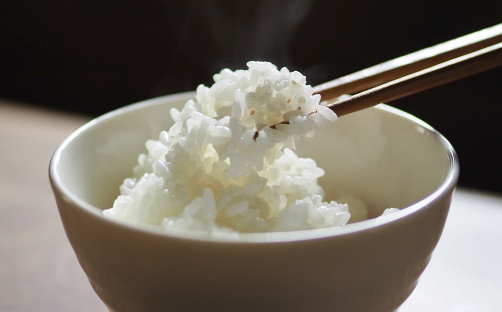 【定期便】川名一将さんちの長狭米　長狭米『粒すけ』5kg×3回 [0042-0005] 3回