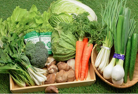 【年４回定期便】鴨川の朝採れ野菜･｢旬｣を味わうセット [0056-0001] 年４回定期便