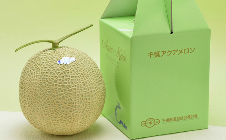 【定期便】高橋メロン農園『千葉アクアメロン』M玉以上 2個 × 6回発送 [0100-0036] Ｍ玉２個×６回