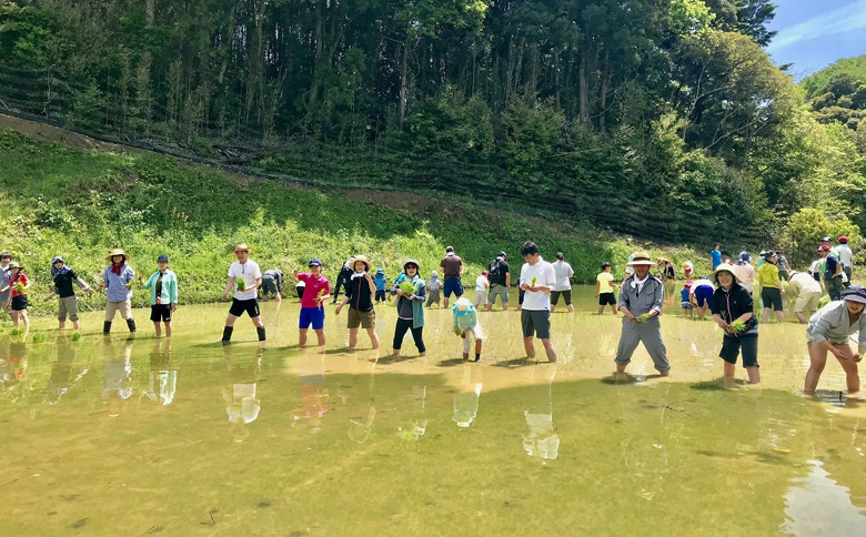 【先着20組限定】令和８年度 大山千枚田『棚田トラスト制度』参加権利　[0107-0001] 棚田トラスト