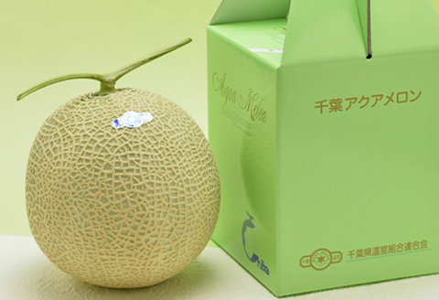 【令和8年5月発送／先行予約】鴨川ぷれみあむ『千葉アクアメロン』旬の大玉 １個 × ３カ月　[0030-0095] 旬の大玉 １個×３回