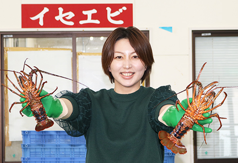 【漁協直送！】天然 活き『房州伊勢海老』１kg以上（４～６尾）《期間限定》《数量限定》《配送日指定必須》《配送指定 令和8年2月末日まで》　[ウオポート][0050-0089]