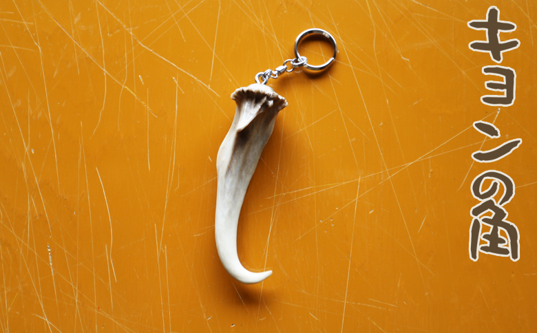 【房総ジビエクラフト】天然素材『ジビエ キーホルダー』　キョンの角　[0006-0044] キョンの角