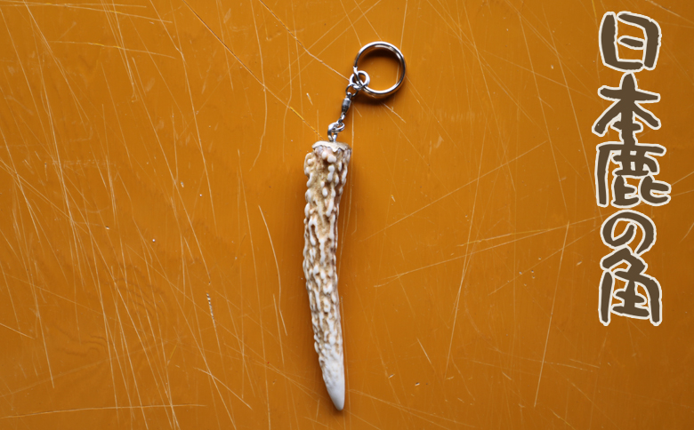 【房総ジビエクラフト】天然素材『ジビエ キーホルダー』　日本鹿の角　[0006-0044] 日本鹿の角