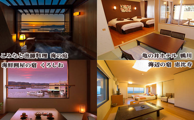 【千葉県鴨川市】市内宿泊施設『共通宿泊券』３千円相当　[0010-0352] ３千円相当