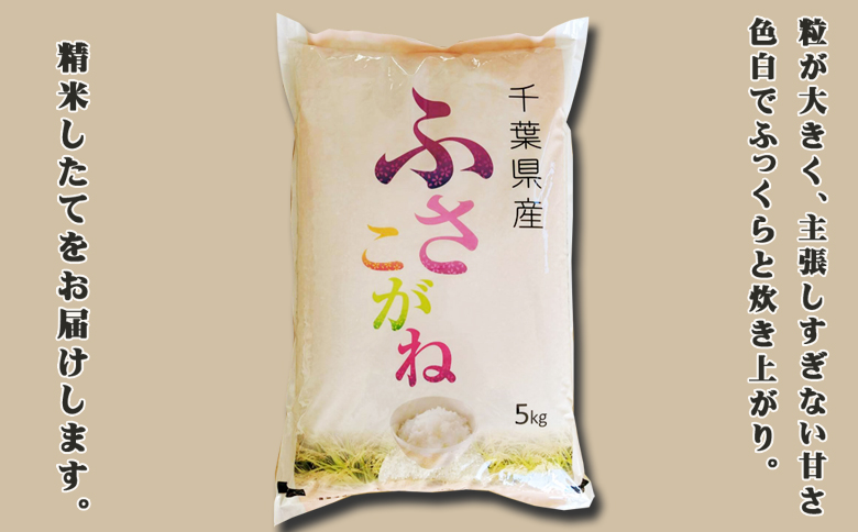 《令和７年産 新米》【米屋新蔵】お米ソムリエ特選 千葉県産『ふさこがね』５kg　[0013-0049] ５kg