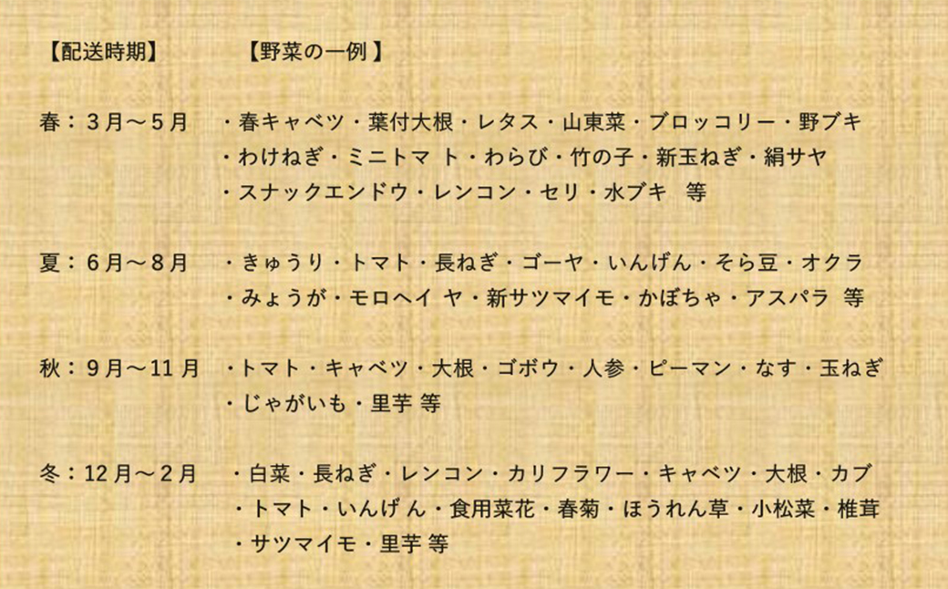 【1日限定5セット】南房総-鴨川の朝採れ野菜セット [0014-0027] １回発送
