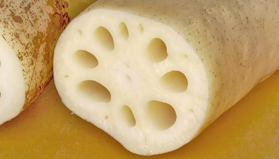 【きれいな水の棚田育ち】シャキっと甘い『鴨川サラダれんこん』 4kg [0014-0028]