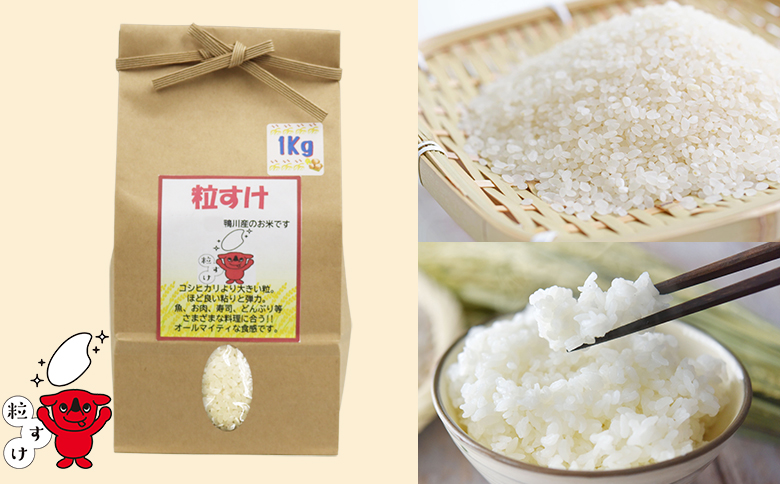 《令和７年産 新米》【くわっせ～鴨川】鴨川産 厳選『こだわり米』精米１kg×３種《コシヒカリ・粒すけ・ミルキークイーン》　[0014-0040] １kg×３種