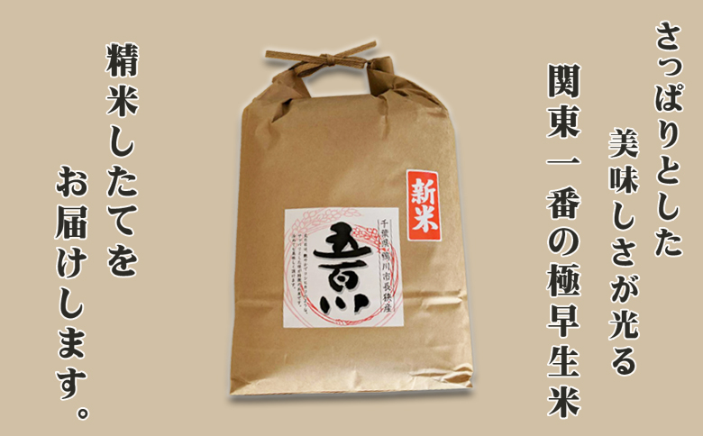《令和７年産》【米屋新蔵】関東一の極早生米『五百川』５kg　[0016-0026] ５kg